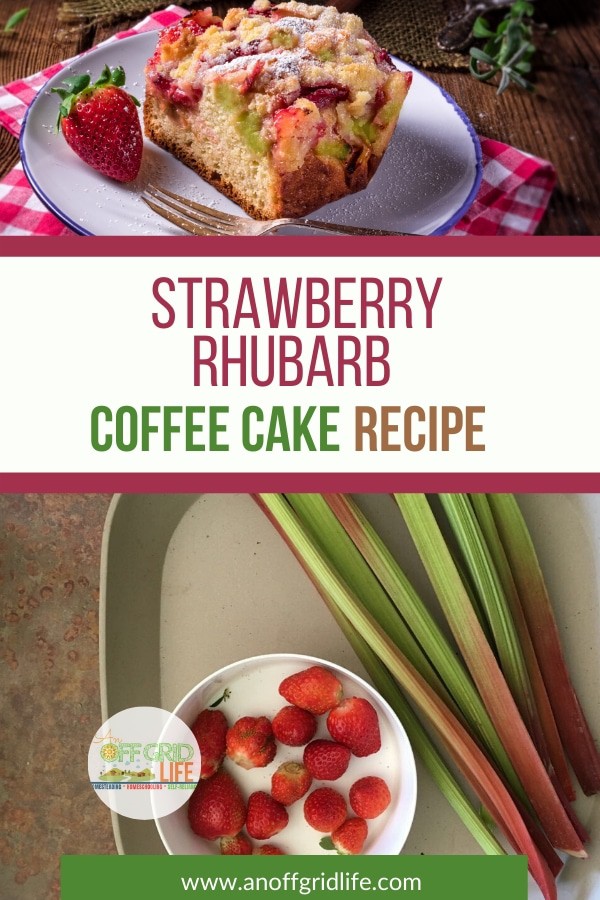 Strawberry Rhubarb Coffee Cake on a Plate
