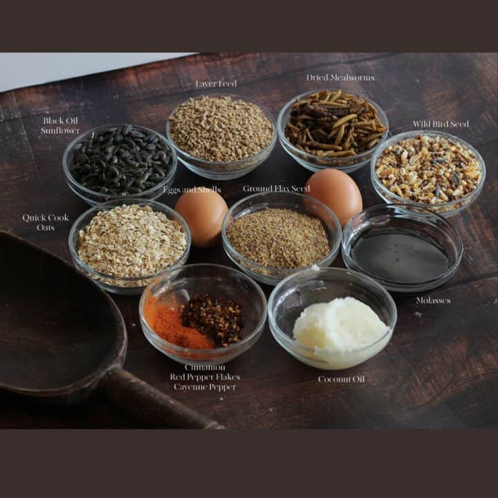 Ingredients for a Chicken Feed Flock Block