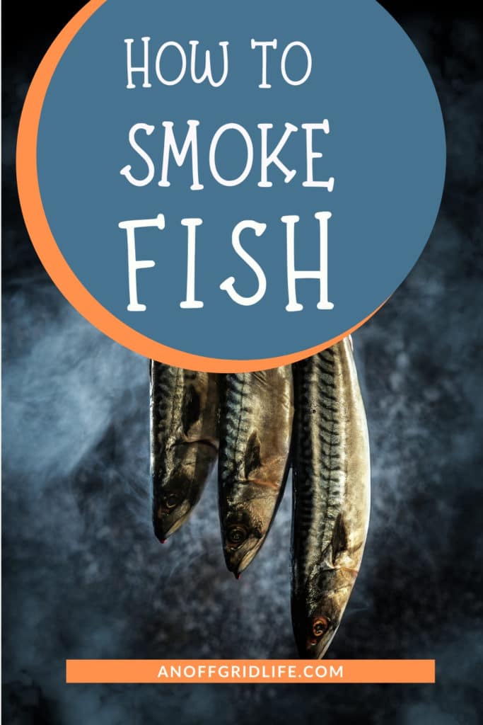 Three fish hanging over a smoky fire
