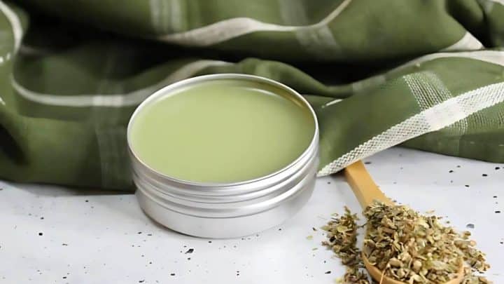 A silver tin of green salve sits on a white surface beside a wooden scoop filled with dried herbs. A green plaid cloth is in the background.