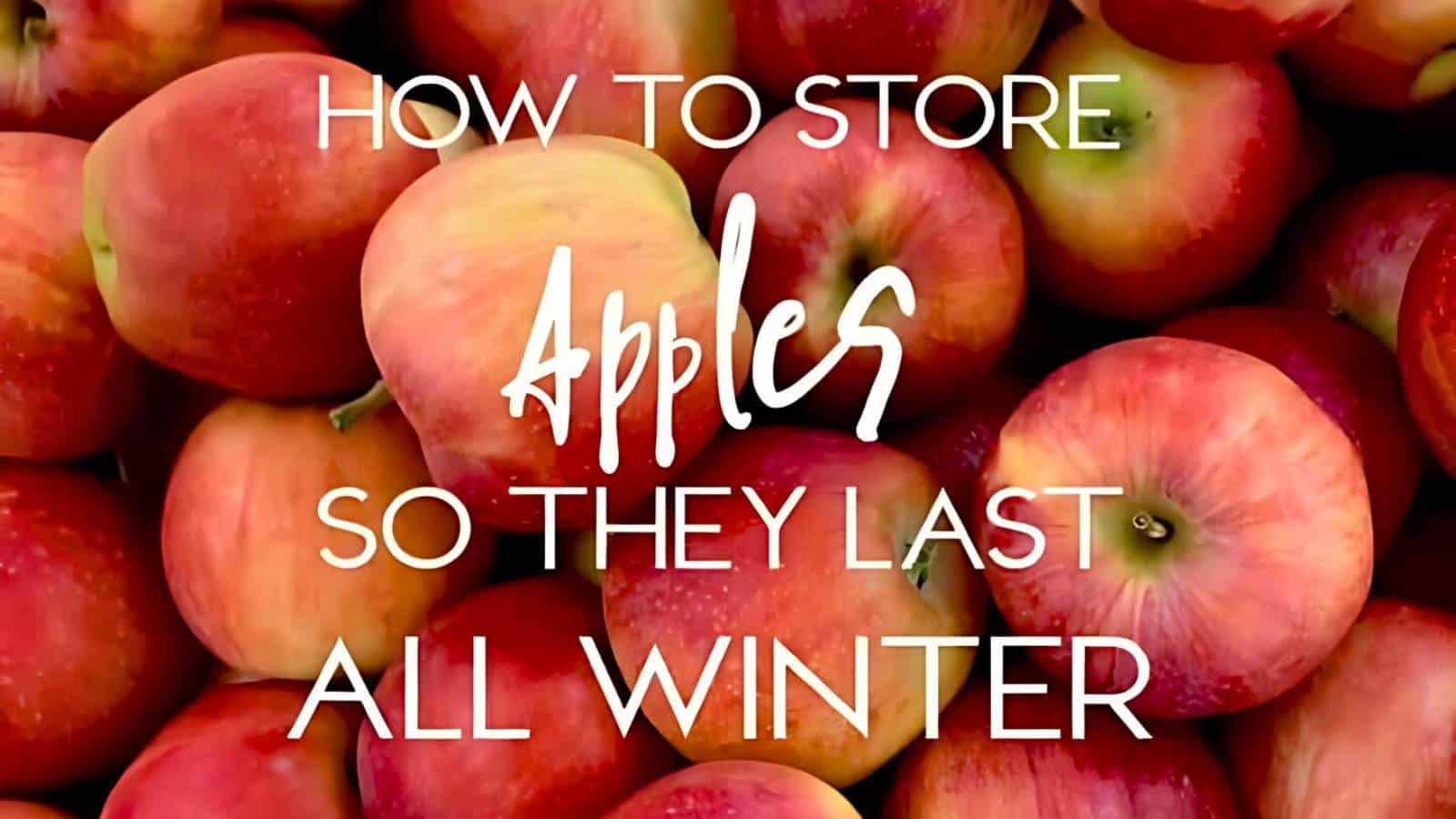 Text overlay on a pile of apples reads: "How to store apples so they last all winter.