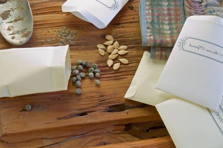 Seed packets are scattered on a wooden surface with some seeds spilled out. A patterned cloth is partially visible.