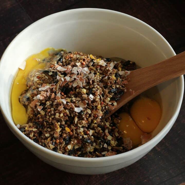 How to Make a DIY Chicken Flock Feed Block