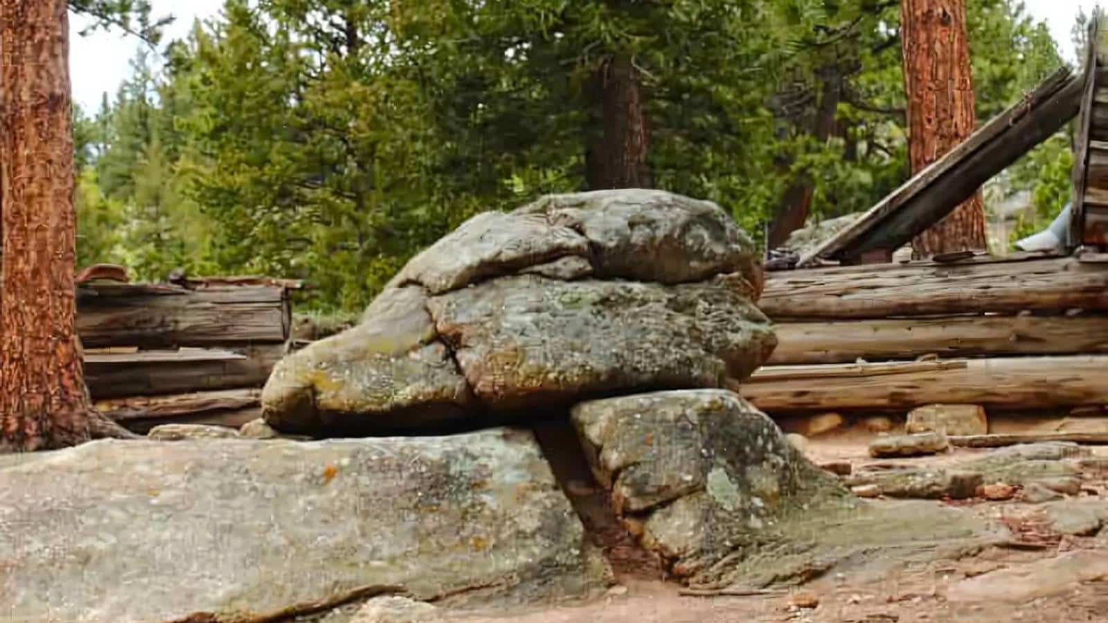Large rock formation resembling a turtle in a forested area with trees and wooden logs in the background.