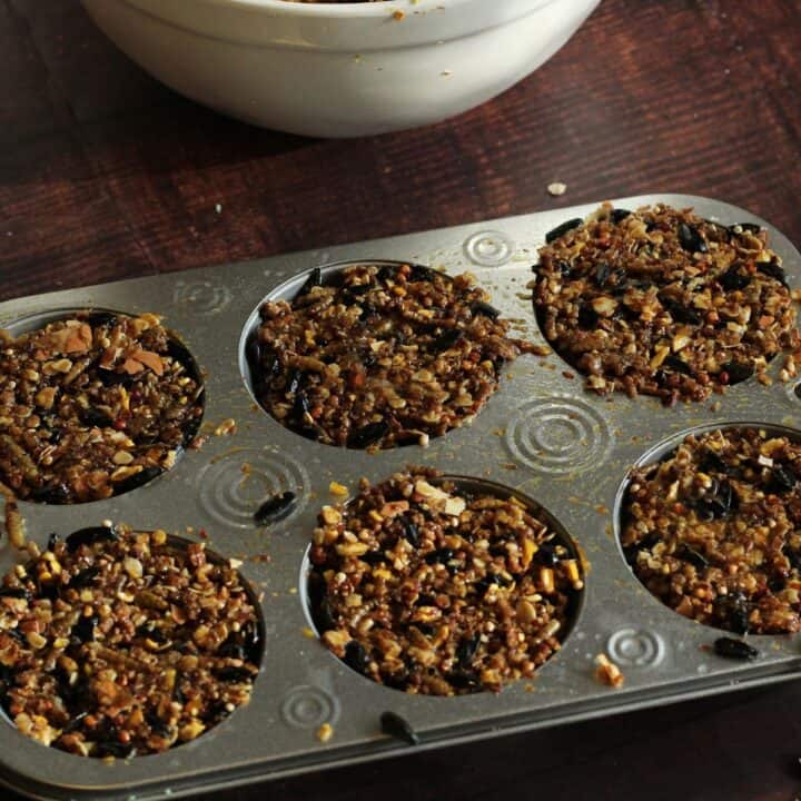 Molding flock blocks in muffin tin