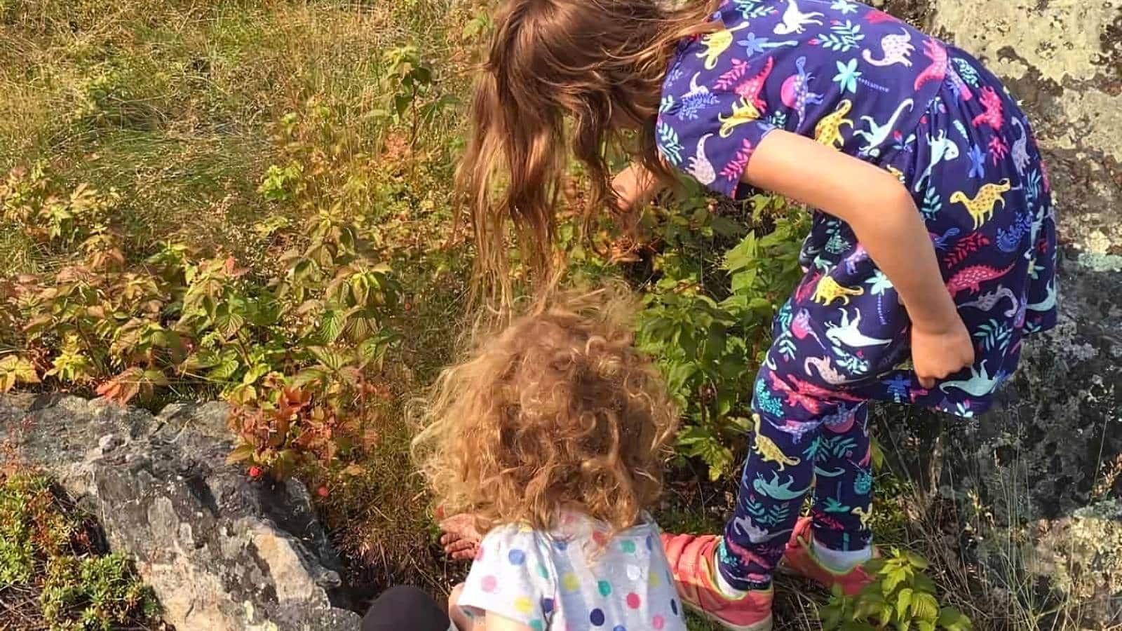 Two children in colorful clothing are picking berries from bushes in a grassy, rocky outdoor area.