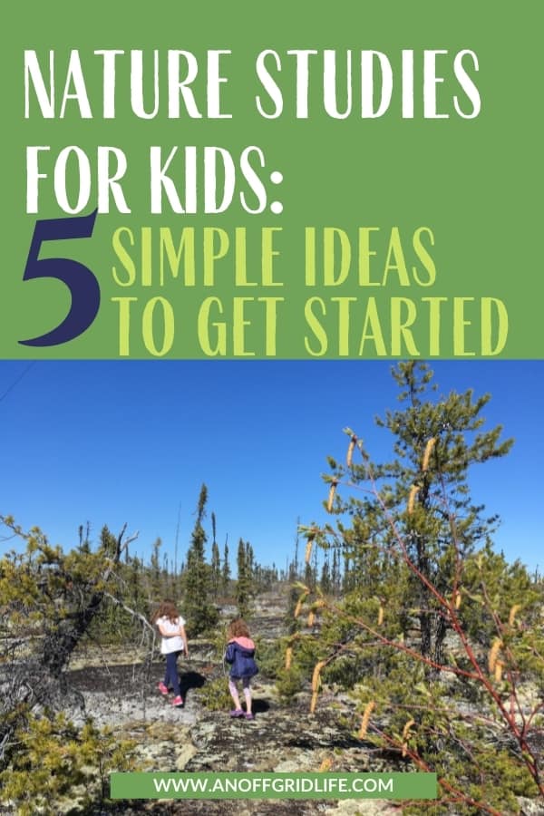 Kids outdoors doing nature studies in a boreal forest