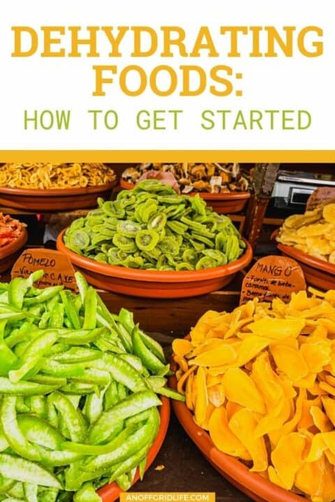 a pinterest image of three wooden bowls with dehydrated fruit including papaya and pomelo. Text overlay "dehydrating foods: how to get started"