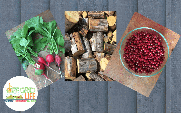 homegrown vegetables, handcut firewood, foraged cranberries on a wooden background