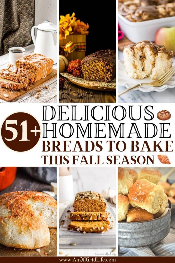 51 delicious easy homemade fall bread recipes.
