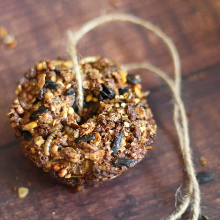 Homemade DIY Flock Block