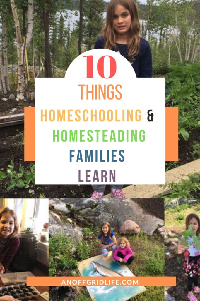 A collage of children outdoors in garden and nature settings with the text: "10 Things Homeschooling and Homesteading Families Learn" and the website anoffgridlife.com. Perfect for those interested in homeschooling and homesteading.