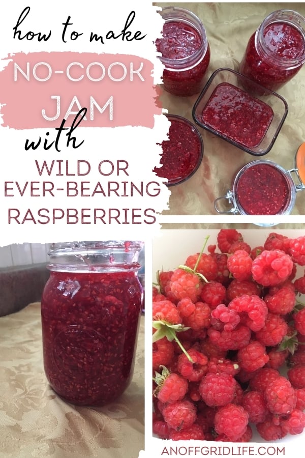 How to Make No-Cook Jam text overlay on collage of jam images