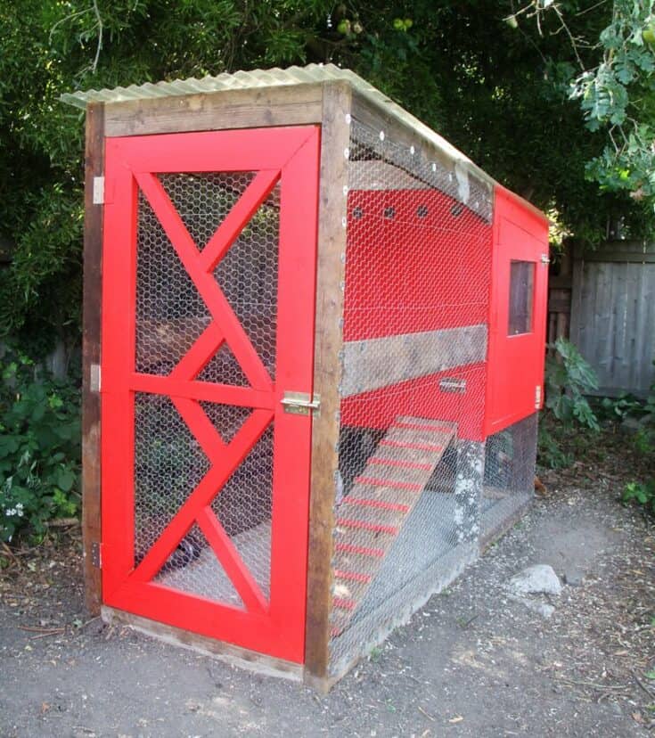 A small DIY chicken coop with a red door and window, wooden frame, wire mesh sides, and a ramp inside, set outdoors beside trees and a fence.