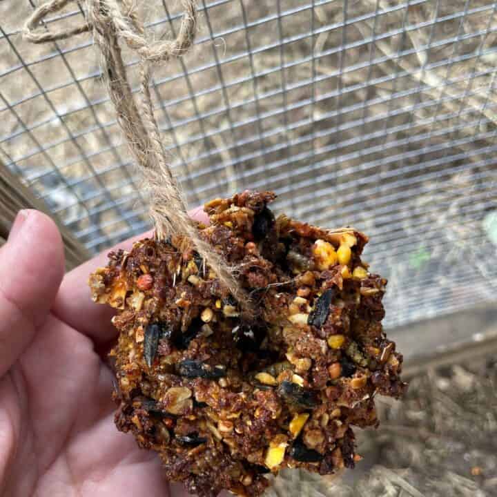 Hanging a homemade chicken feed flock block