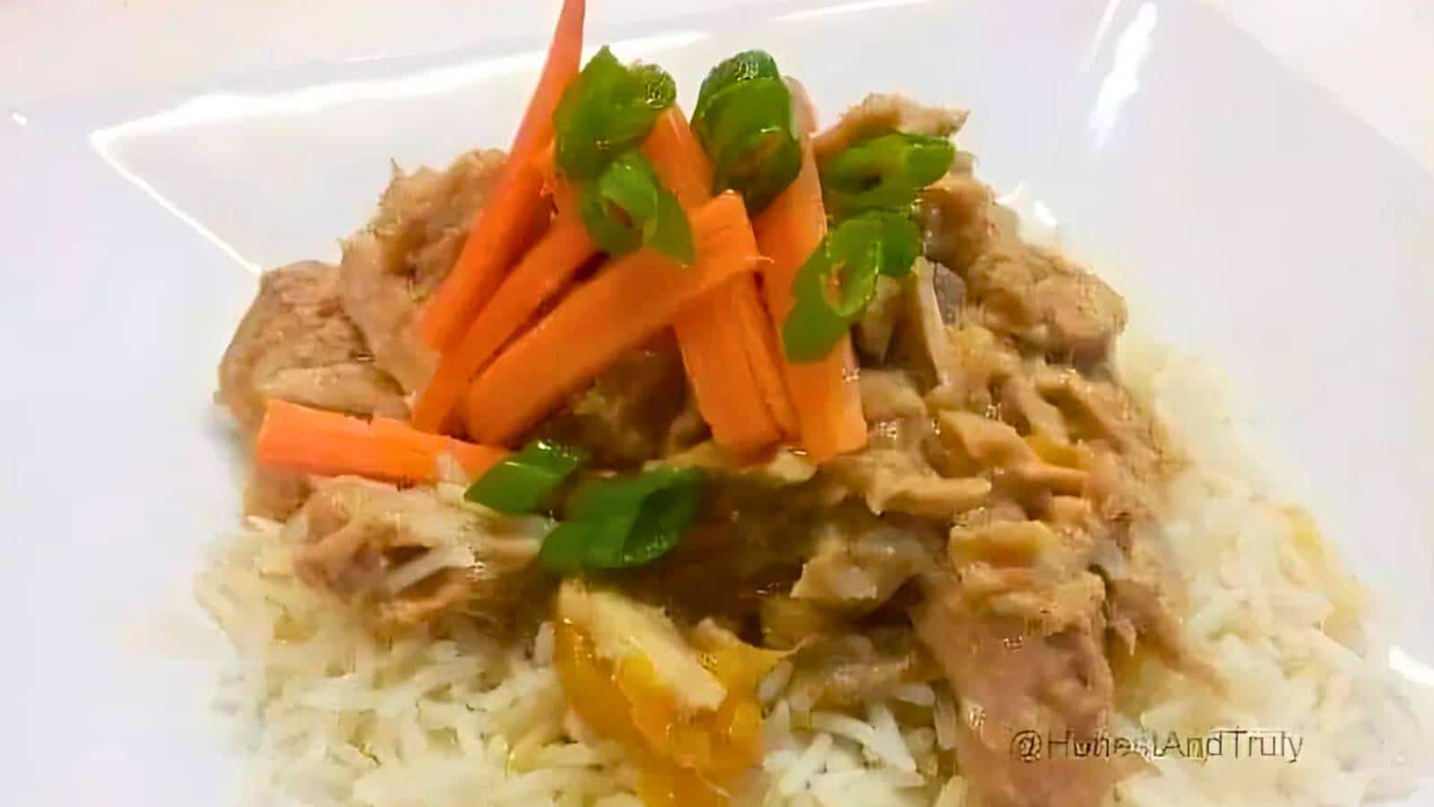 A plate of rice topped with shredded meat, sliced carrots, and chopped green onions.