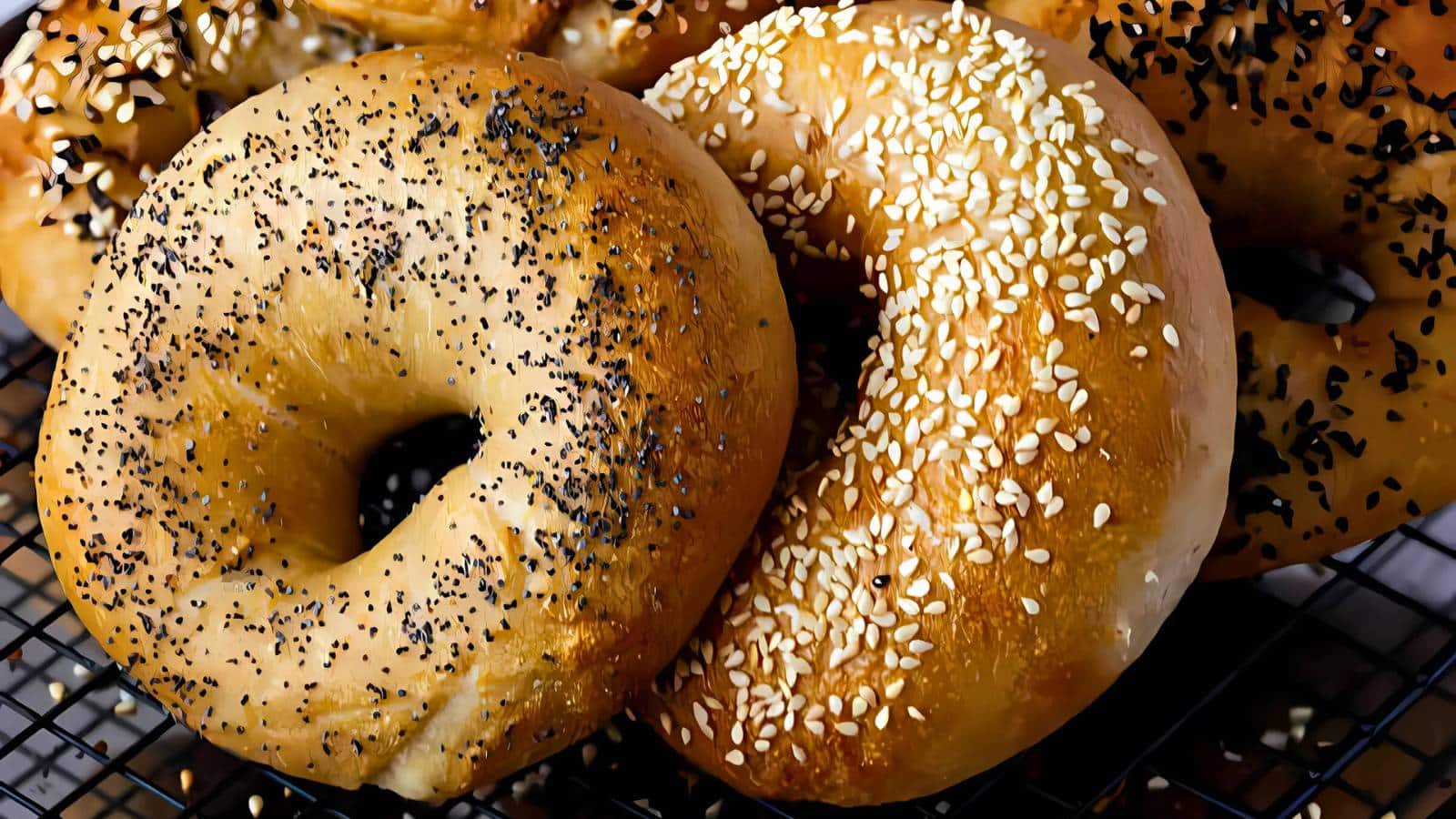 Two bagels on a cooling rack, one with black poppy seeds and the other with white sesame seeds.