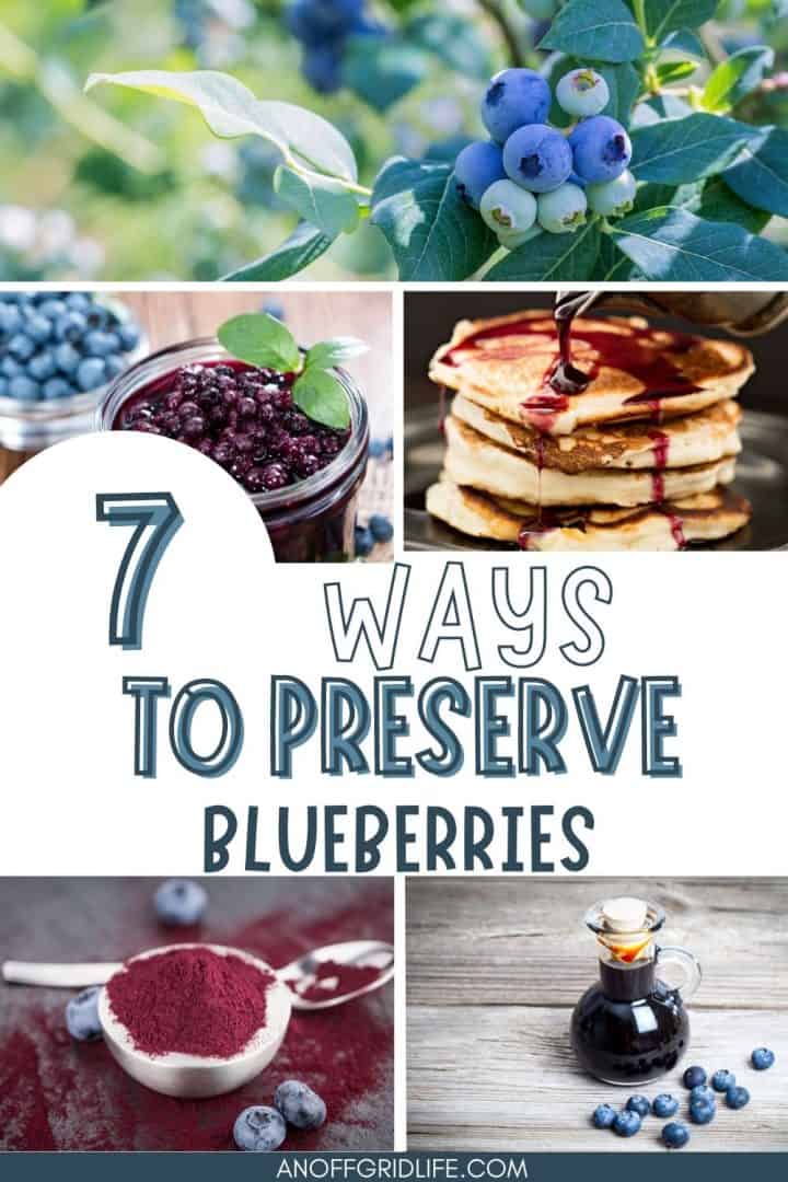 7 Ways to Preserve Blueberries on a collage