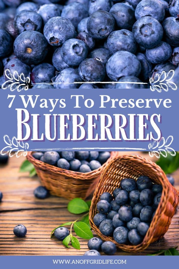 7 ways to preserve blueberries