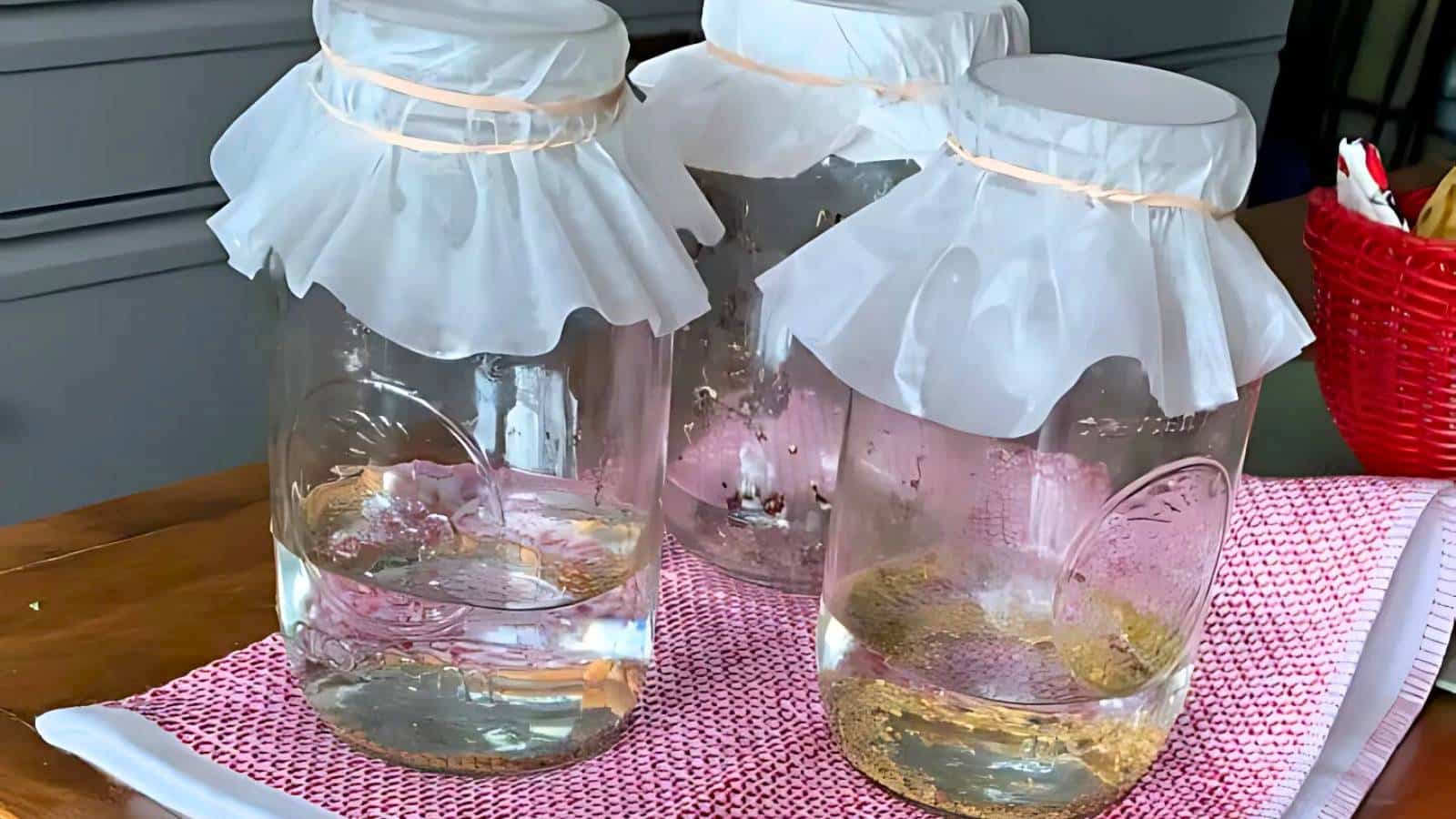 Three glass jars with cloth lids, containing liquid, are placed on a red and white mat on a wooden surface.