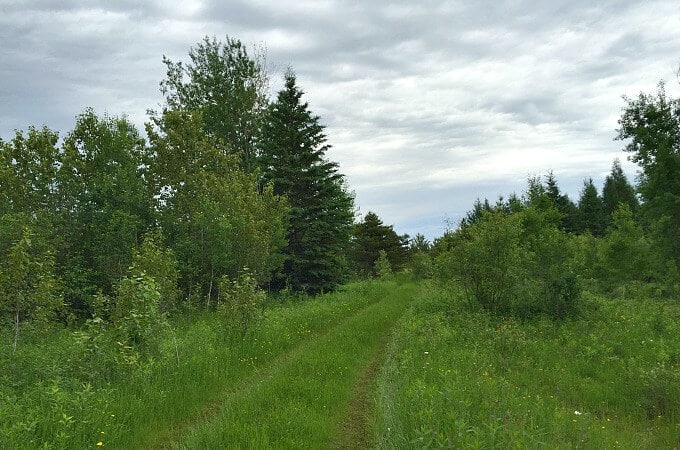 8 Ways to Live Like You're Off Grid