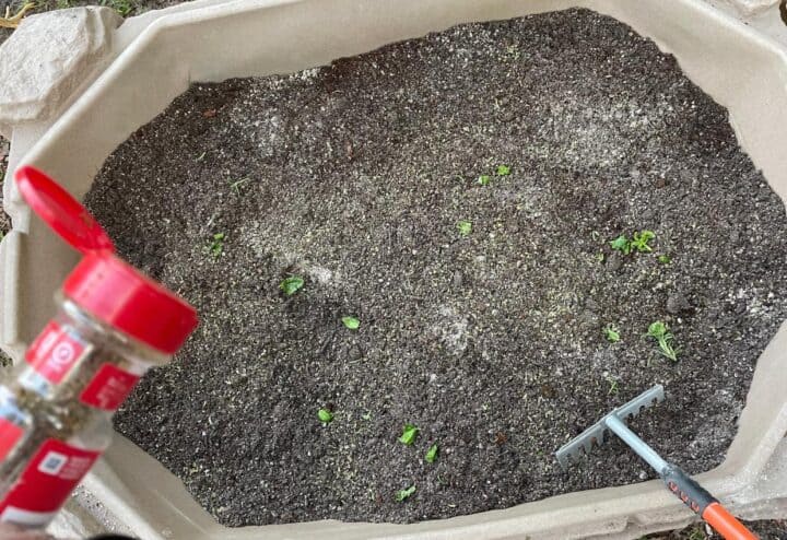 Adding ingredients to dirt.