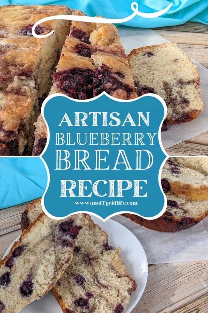 Dutch Oven Blueberry Bread Recipe