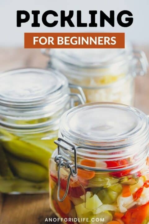 a pinterest image of three glass mason jars with pickled cucumbers and peppers. Text overlay "pickling for beginners"