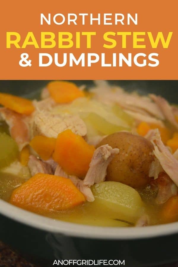 a pinterest image of a dark green bowl with stew and text overlay "northern rabbit stew & dumplings"