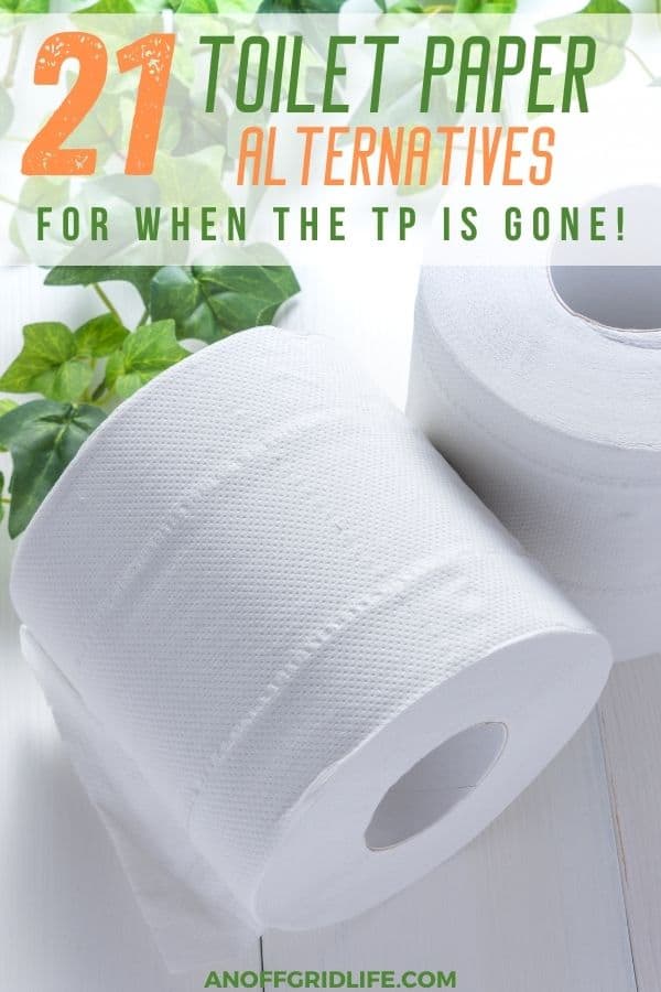 a pinterest image of two rolls of toilet paper and some green overlay, with text overlay "21 toilet paper alternatives for when the TP is gone"