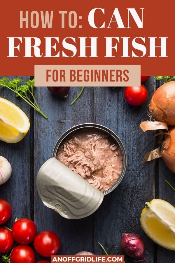 a pinterest image of an open can of fish surrounded by vegetables with text overlay "how to can fresh fish for beginners"