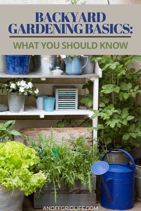 a pinterest image of a backyard garden with potted plants on a shelf against a stone wall. Text overlay "backyard gardening basics: what you should know"