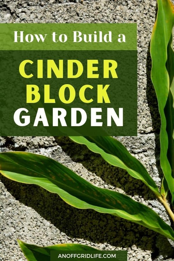 a pinterest image of a leaf on a concrete wall with text overlay "how to build a cinder block garden"