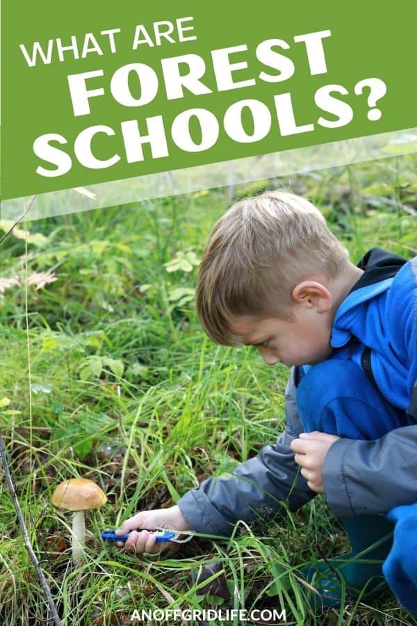 text overlay "what are forest schools" on a picture of a boy in a blue jacket picking a mushroom.