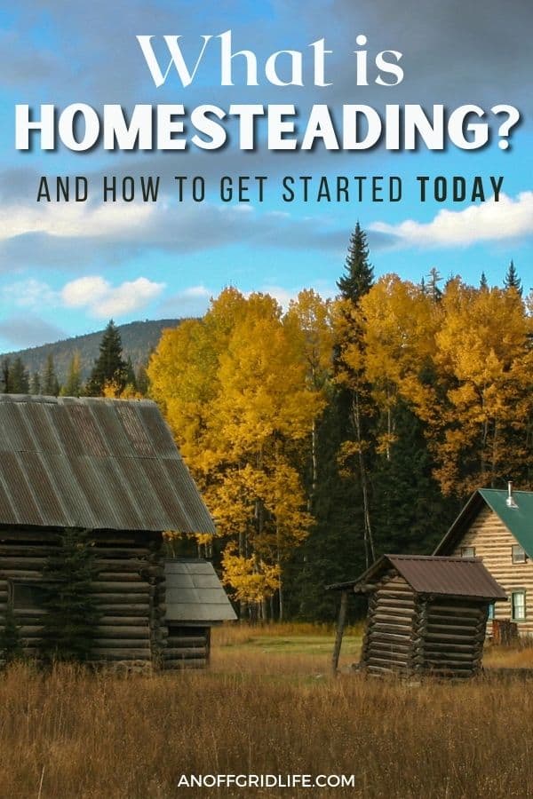 text overlay "what is homesteading" on a picture of a log cabin and a barn with yellow leaved trees in the background.