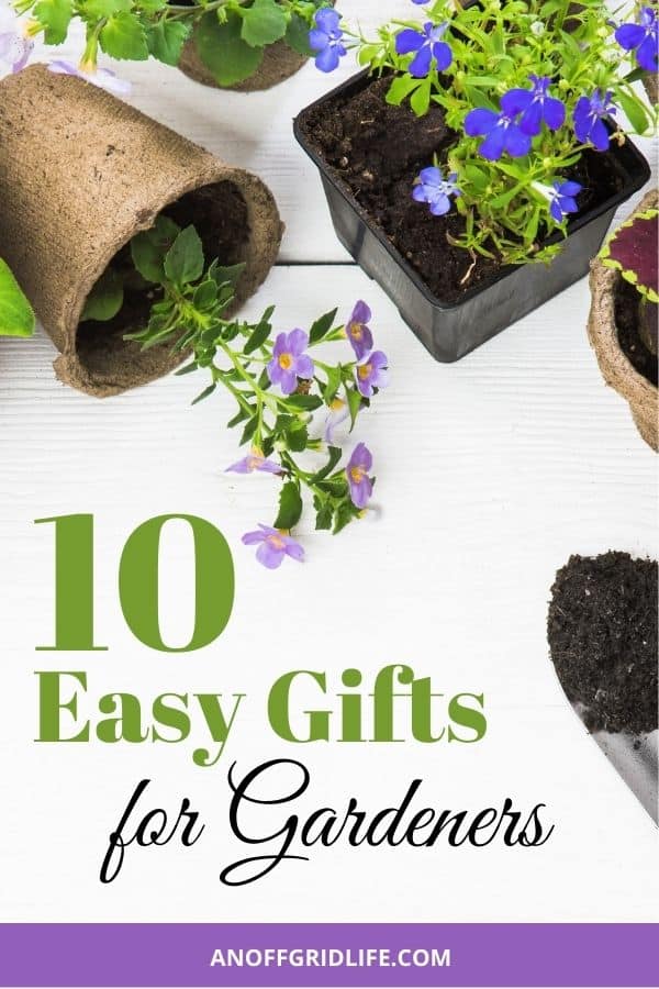 text overlay "10 easy gifts for gardeners" on an image of two trowels and 3 small pots with purple flowers and a white background.