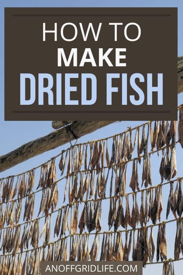 text overlay "how to make dried fish" over an image of hundreds of dried fish hanging on lines outdoors. 