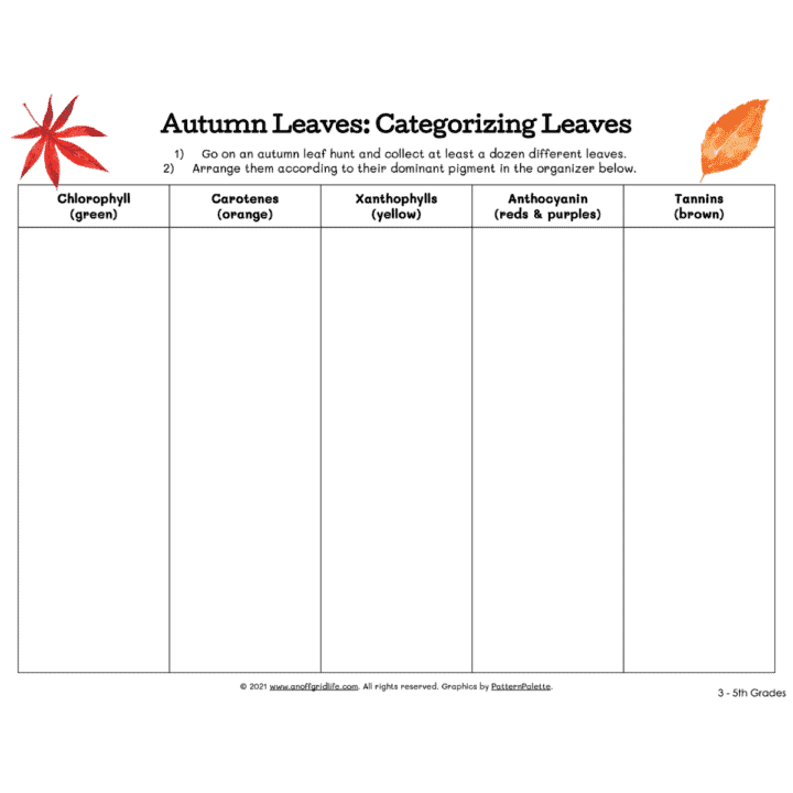 Autumn Leaves Categorizing Sheet