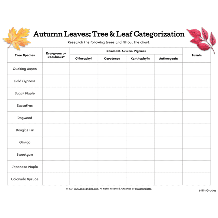 Autumn Leaves Tree & Leaf Categorization Sheet Grade 6 through 8
