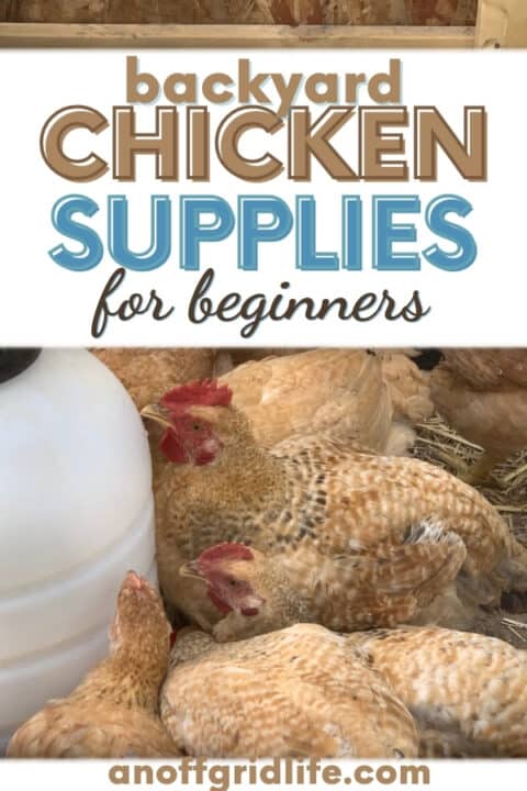 Wondering what backyard chicken supplies are "must-haves" when you're starting your first flock? These things made our life easier!