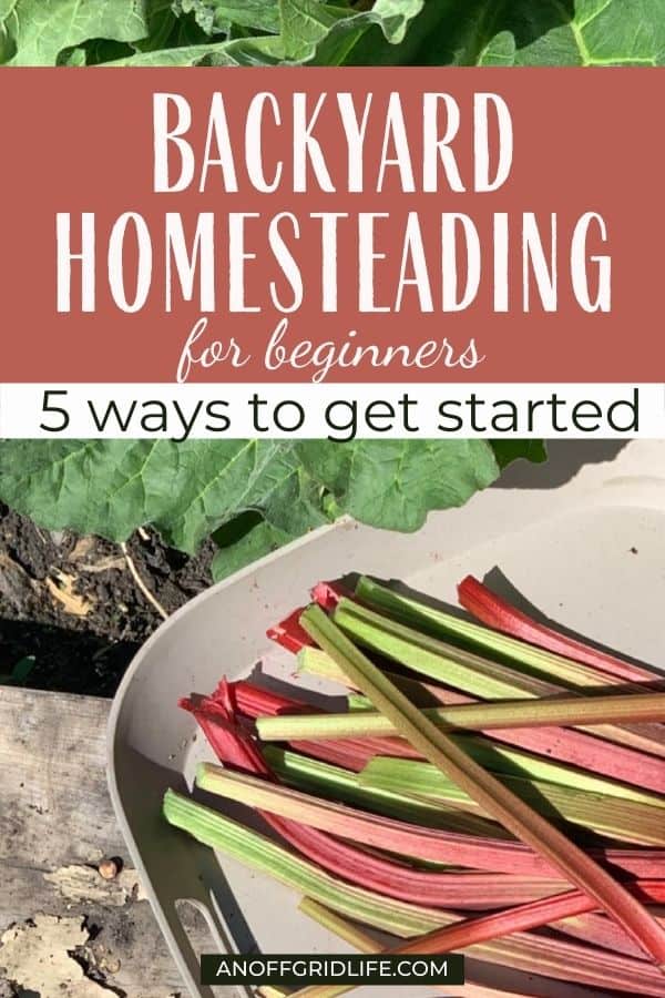 Backyard Homesteading for Beginners: 5 Ways to Get Started text overlay on image of fresh rhubarb beside garden