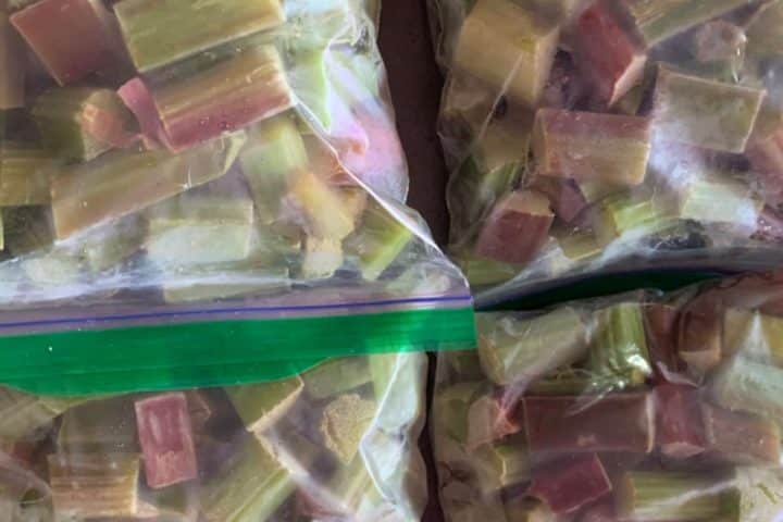 Plastic bags filled with chopped rhubarb pieces, sealed and prepared for storage.