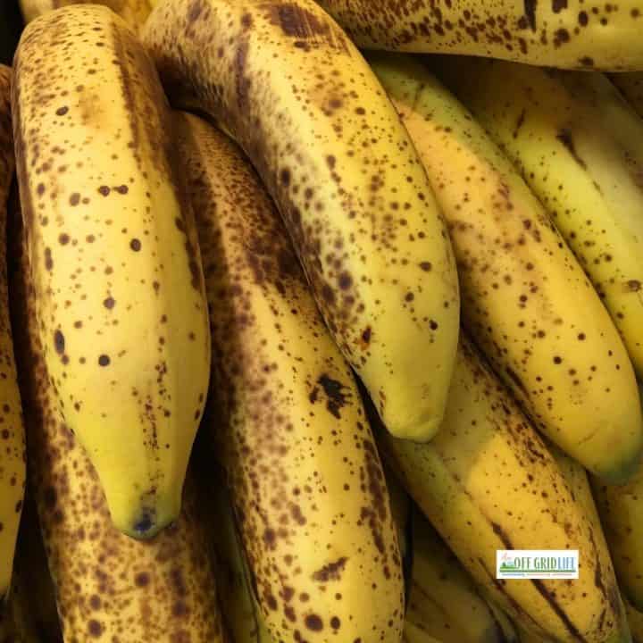 Brown spotted bananas with peels for using in homemade fertilizer