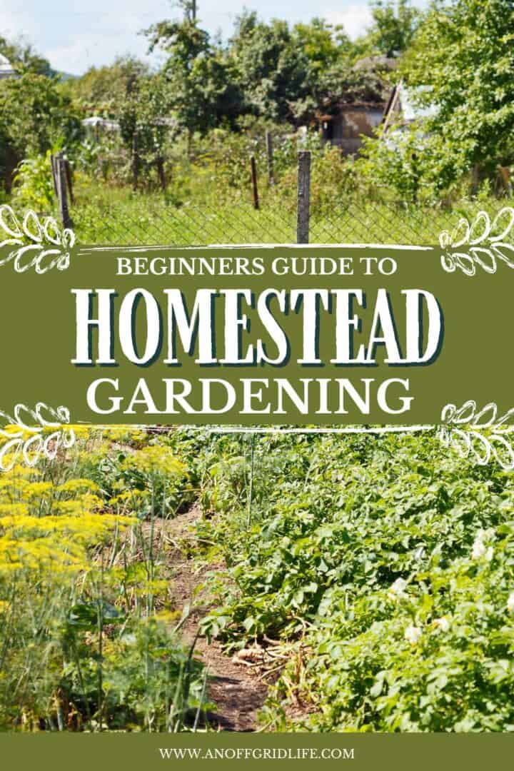 Beginners guide to homestead gardening text overlay on image of garden