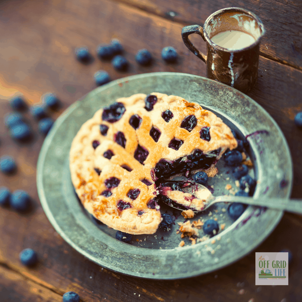 Best blueberry pie with lattice crust on top