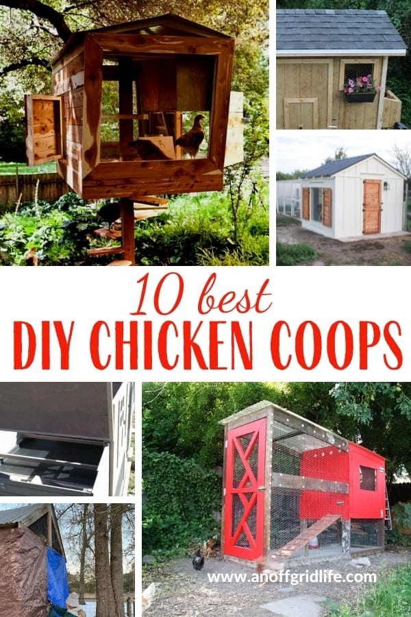 The 10 best DIY chicken coops posts for inspiration, designs, plans, and tips when you are planning your own backyard chicken coop. Man building a chicken coop