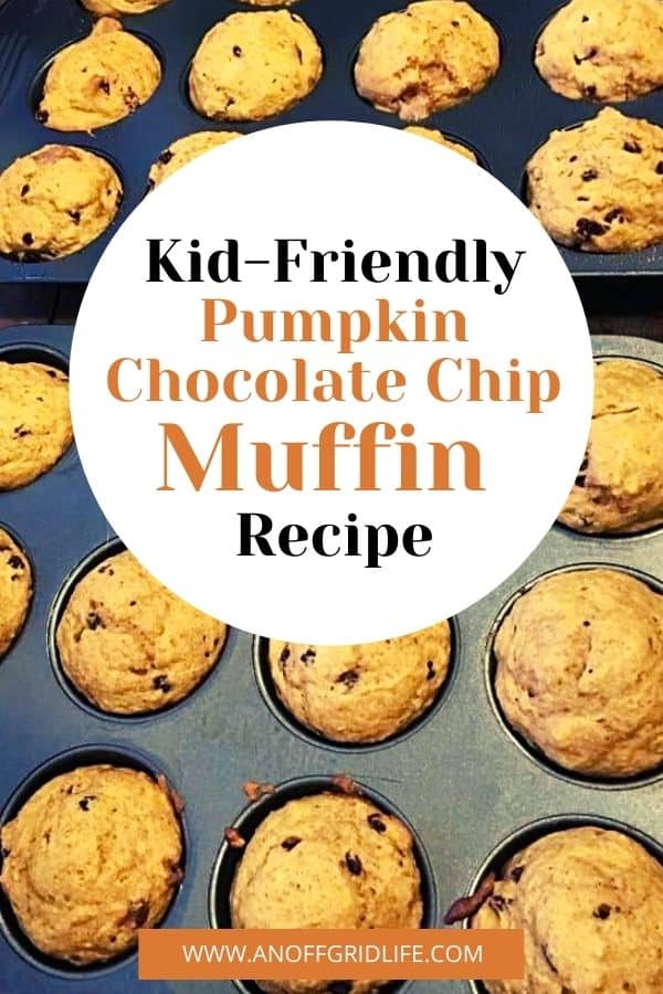 a pinterest image of a muffin pan with text overlay "kid-friendly pumpkin chocolate chip muffin recipe"