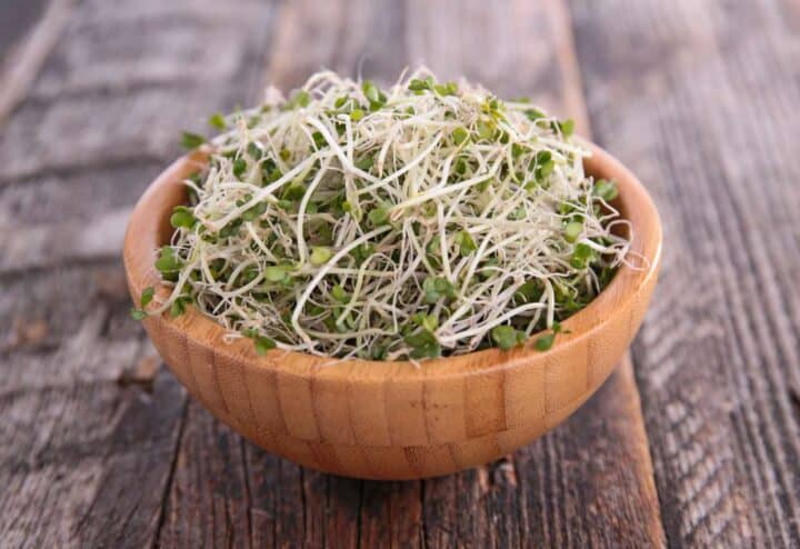 Broccoli Sprouts in Wooden Bowl