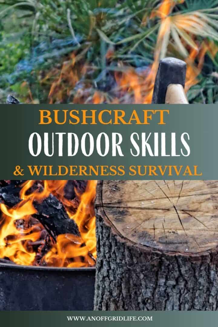 Bushcraft Skills and Wilderness Survival