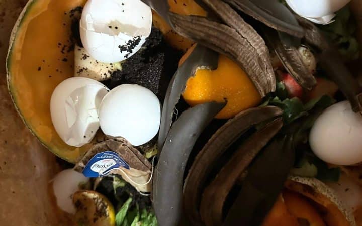 A brown paper bag filled with vegetables and eggshells for winter composting.